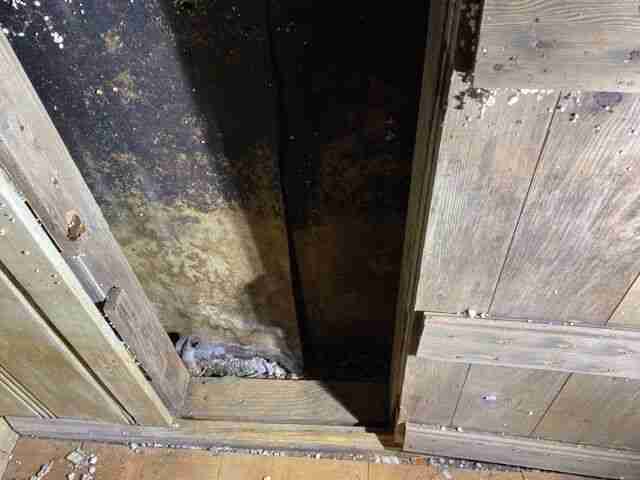 Testing again(78).jpg